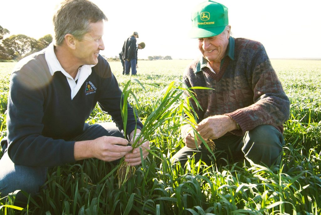 consulenze agronomo