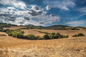 quanto terreno serve per diventare imprenditore agricolo