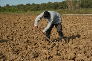 consulenza apertura azienda agricola