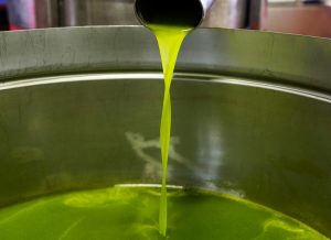 aumentare la produzione di olio d’oliva