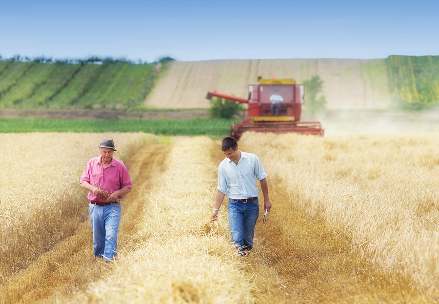 prelazione agraria