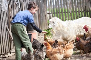 come aprire un’azienda agricola biologica