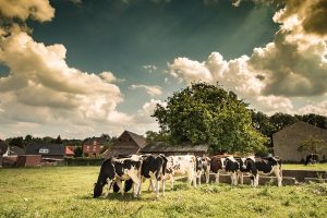 come aprire un'azienda agricola biologica