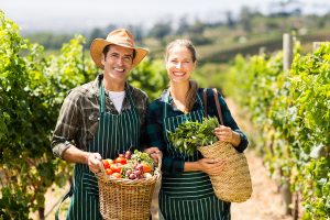 come aprire un'azienda agricola biologica