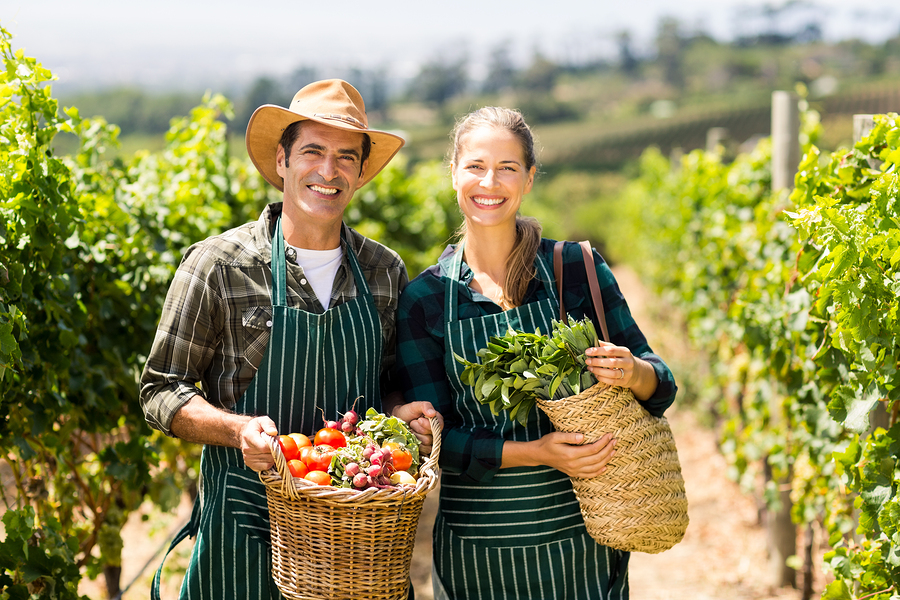 come aprire un'azienda agricola biologica