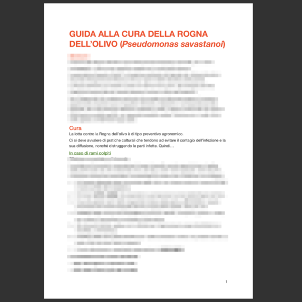Guida alla cura della Rogna dell'Olivo - immagine 2