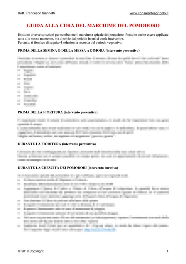 Guida alla cura del marciume apicale del pomodoro
