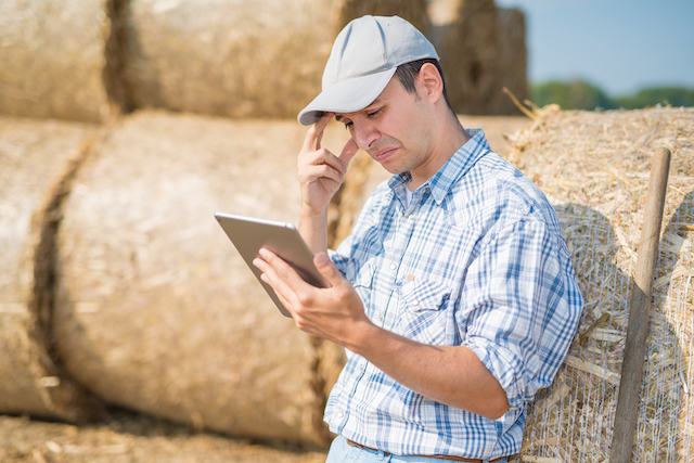 progetto di azienda agricola