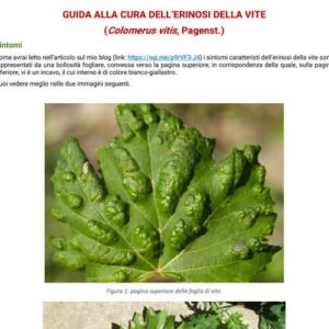 Guida alla cura dell'Erinosi della vite