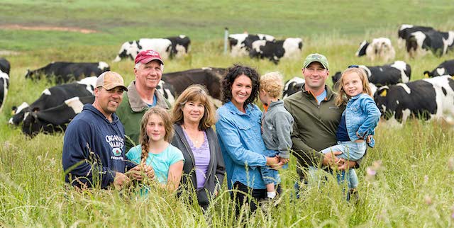 progetto di azienda agricola