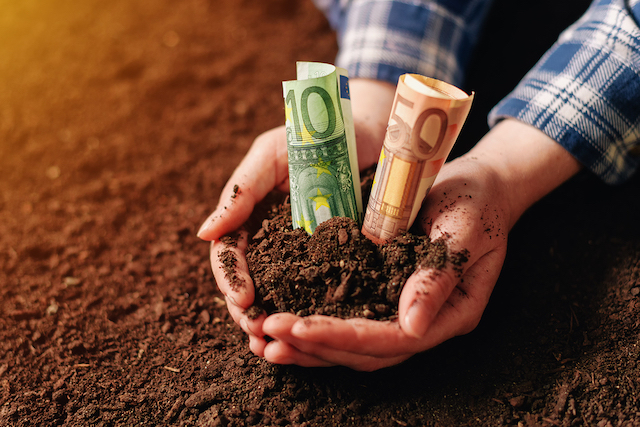 prezzi dei prodotti agricoli