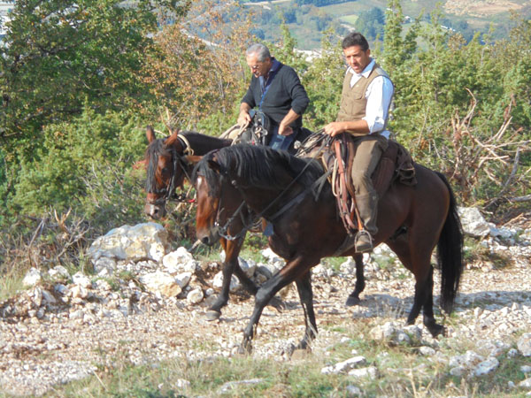 passeggiate a cavallo