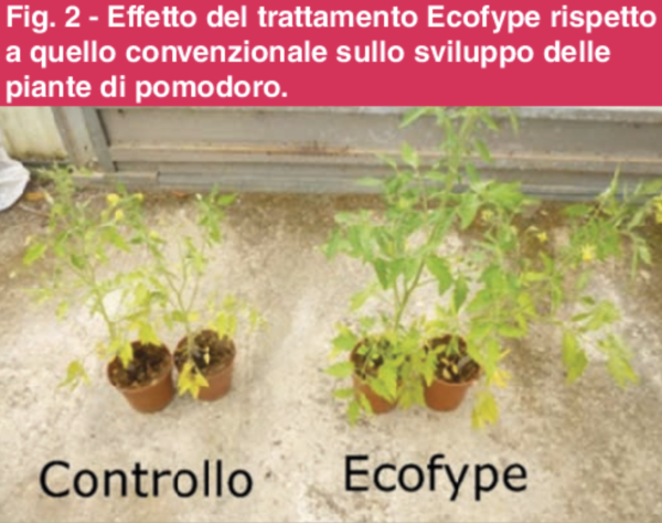 Fertilizzante fogliare Biologico - immagine 7