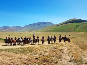 passeggiate a cavallo